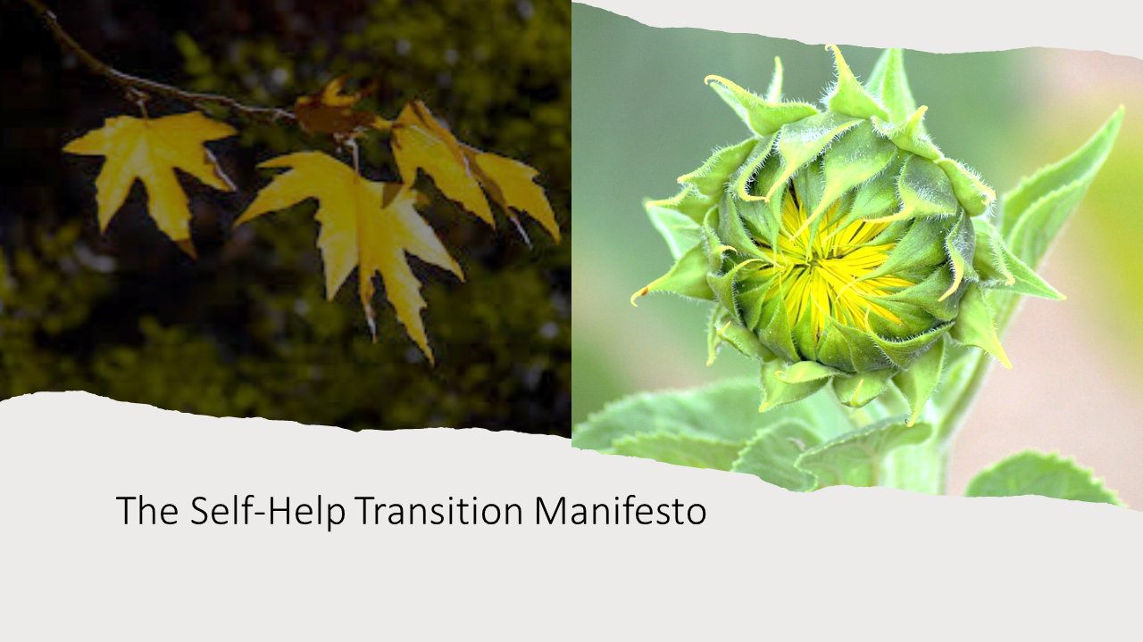 The Self-Help Transition Manifesto